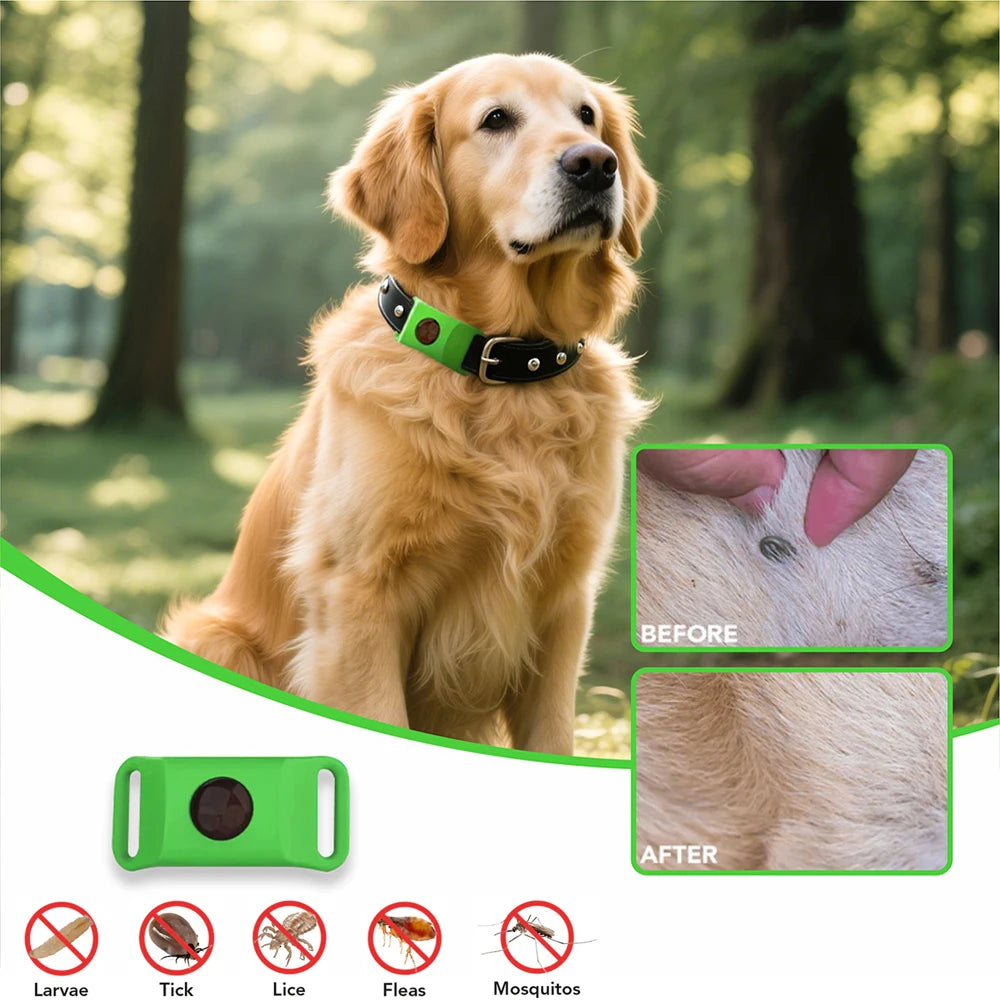 Wearable Essential Oil Tag for Pets, Natural Flea & Tick Repellent Pendant, Clip-on Dog Cat Collar for Continuous Protection